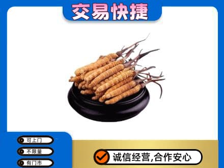 张家口市桥西礼品回收散虫草.jpg